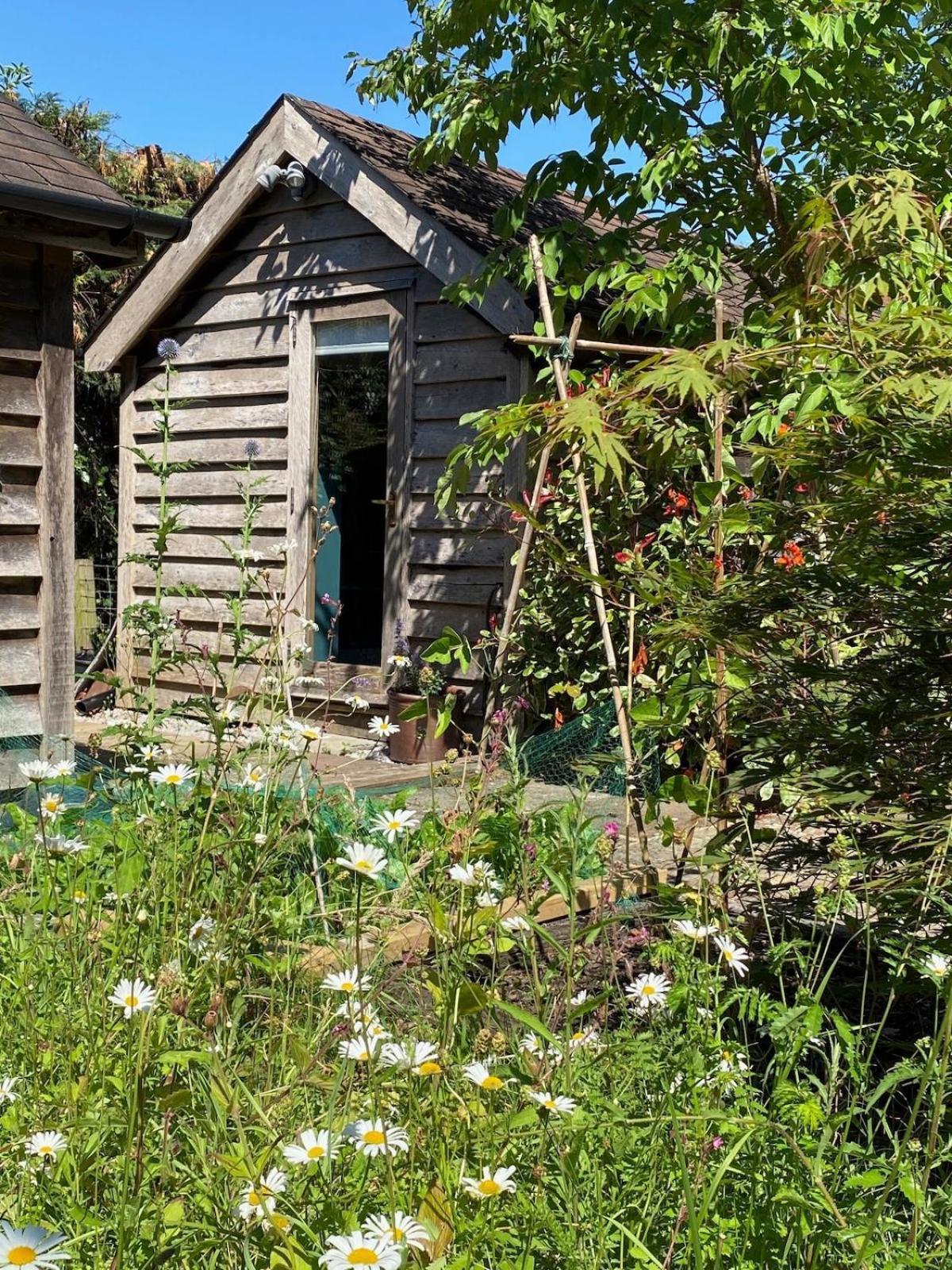 הוילה Linchmere The Tool Shed Nestled In Idyllic Countryside מראה חיצוני תמונה