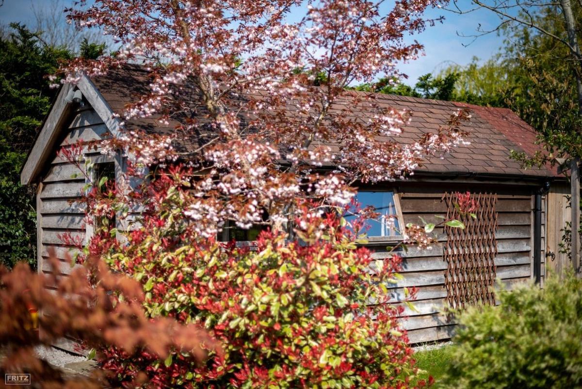 הוילה Linchmere The Tool Shed Nestled In Idyllic Countryside מראה חיצוני תמונה